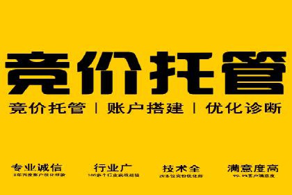 某电商平台SEM竞价广告的转化率提升案例